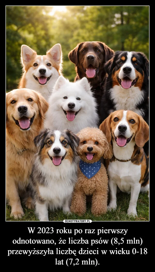 
    W 2023 roku po raz pierwszy odnotowano, że liczba psów (8,5 mln) przewyższyła liczbę dzieci w wieku 0-18 lat (7,2 mln).