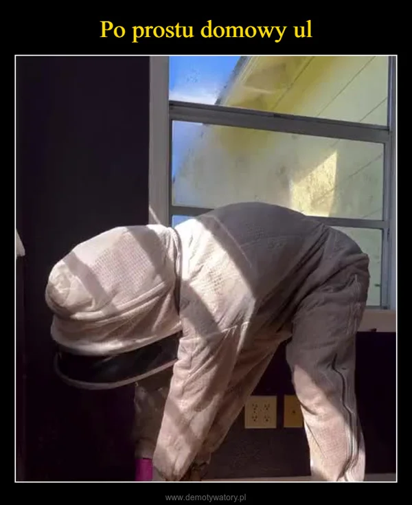 
    Po prostu domowy ul
