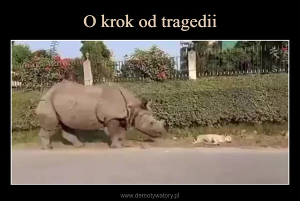 
    O krok od tragedii