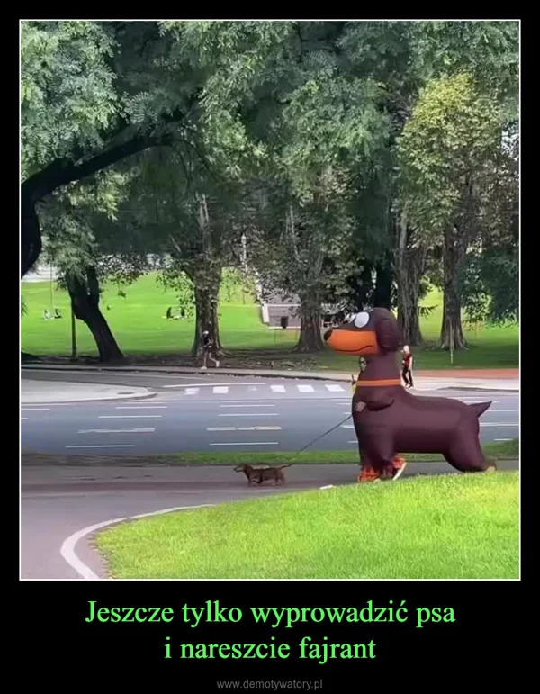 Jeszcze tylko wyprowadzić psa i nareszcie fajrant