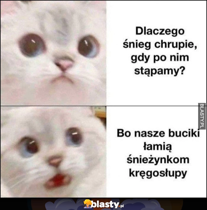 
    Dlaczego śnieg chrupie gdy po nim stąpamy, bo nasze buciki łamią śnieżynkom kręgosłupy kot kotek