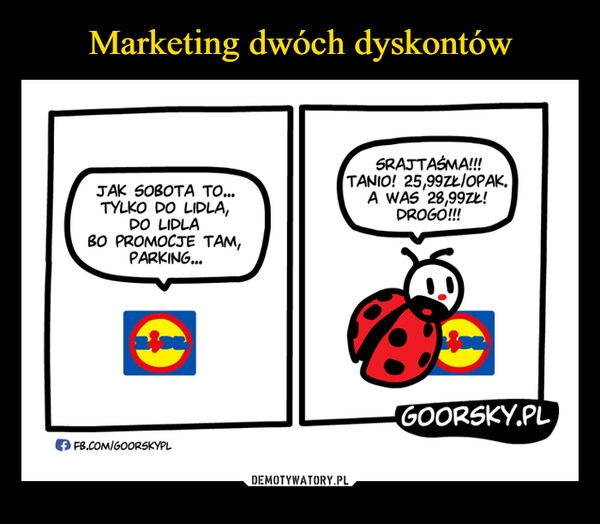 
    Marketing dwóch dyskontów