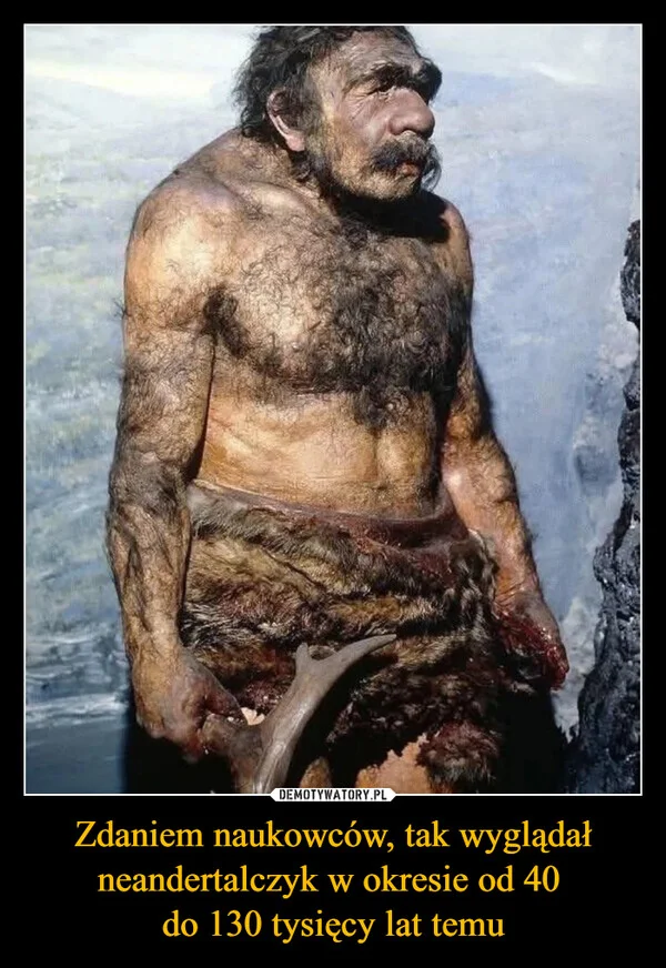 
    Zdaniem naukowców, tak wyglądał neandertalczyk w okresie od 40 do 130 tysięcy lat temu