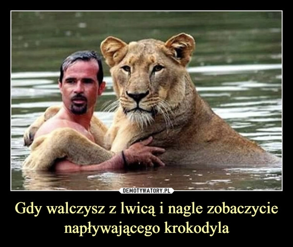 
    Gdy walczysz z lwicą i nagle zobaczycie napływającego krokodyla