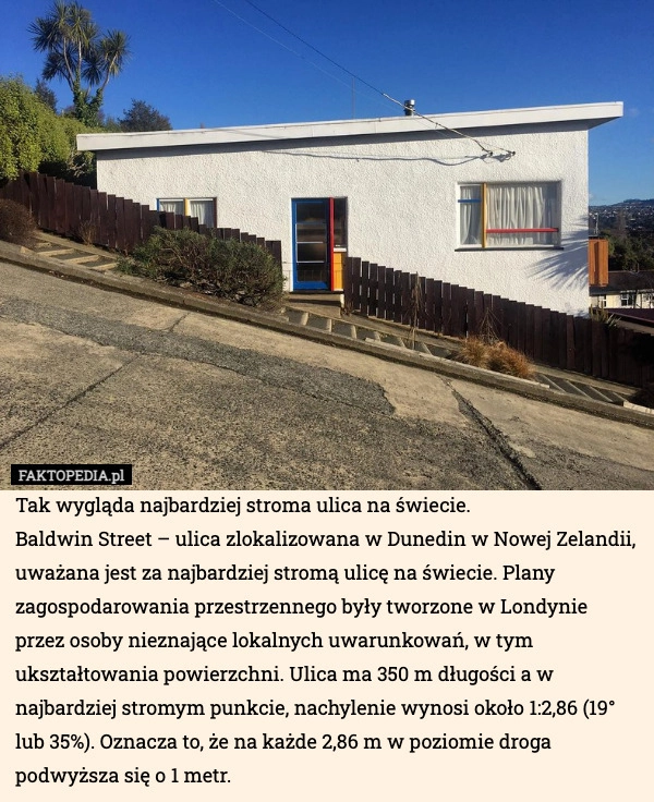 
    Tak wygląda najbardziej stroma ulica na świecie.
Baldwin Street – ulica