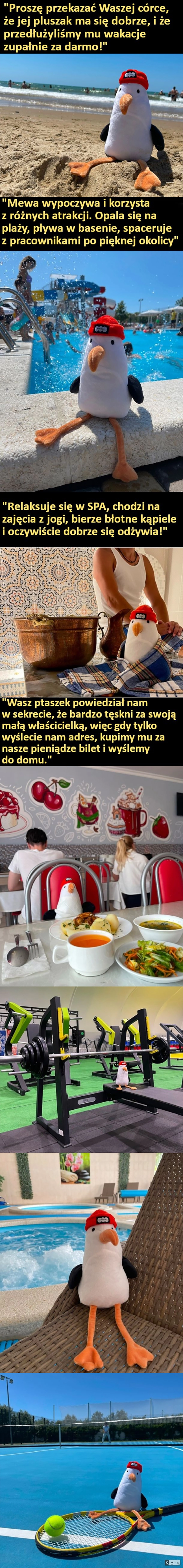 
    Dziewczynka zapomniała swojego ukochanego pluszaka w hotelu. Pracownicy gdy znaleźli napisali taką wiadomość do jej rodziców...