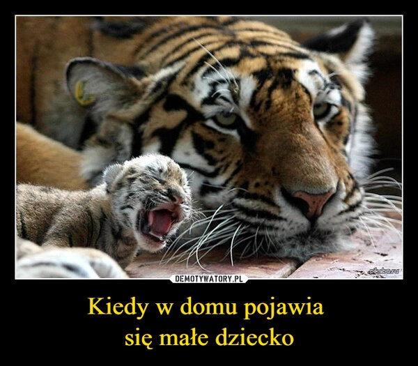 
    Kiedy w domu pojawia 
się małe dziecko