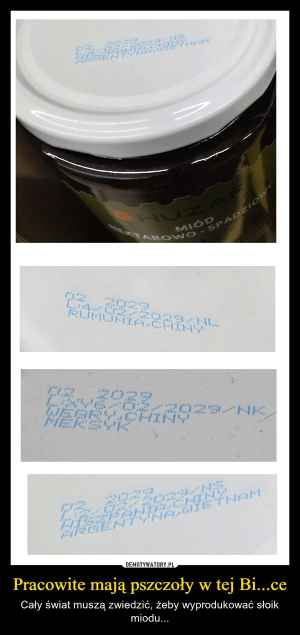 
    Pracowite mają pszczoły w tej Bi...ce