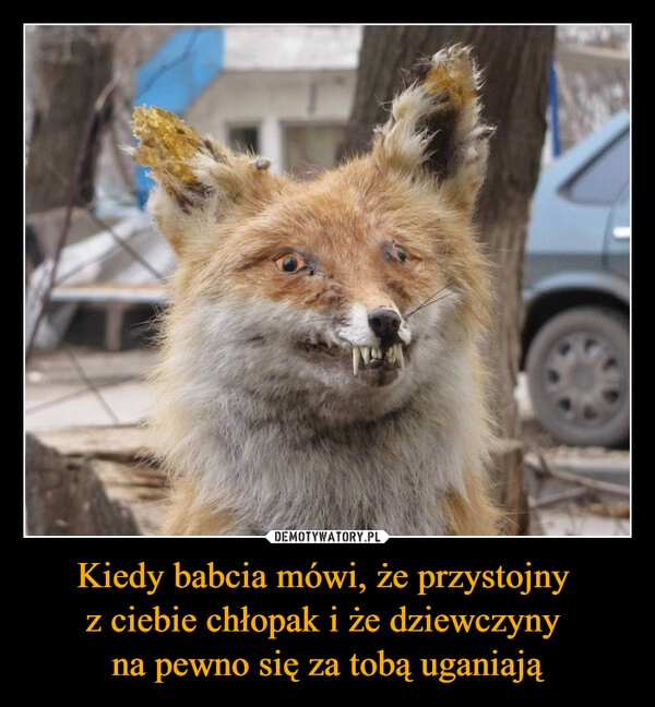 
    Kiedy babcia mówi, że przystojny 
z ciebie chłopak i że dziewczyny 
na pewno się za tobą uganiają