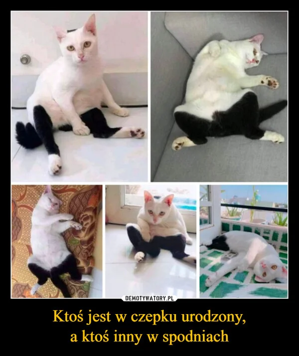 
    Ktoś jest w czepku urodzony, a ktoś inny w spodniach