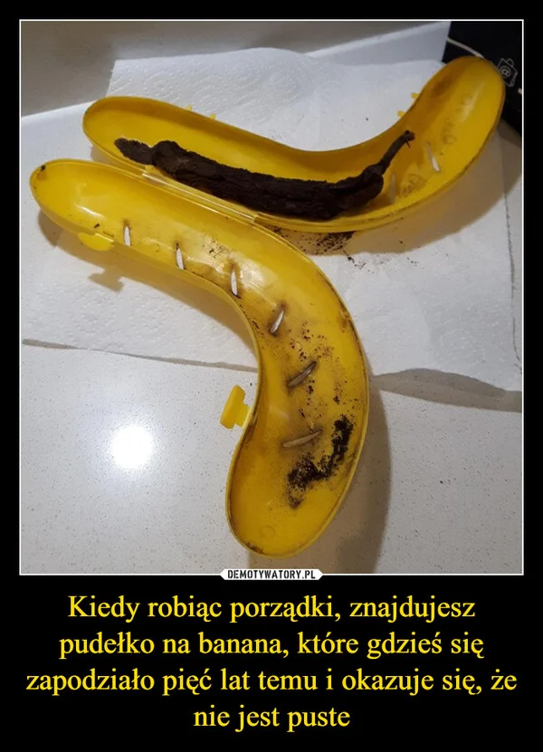 
    Kiedy robiąc porządki, znajdujesz pudełko na banana, które gdzieś się zapodziało pięć lat temu i okazuje się, że nie jest puste