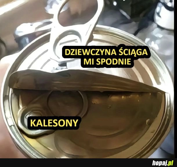 
    Kalesony