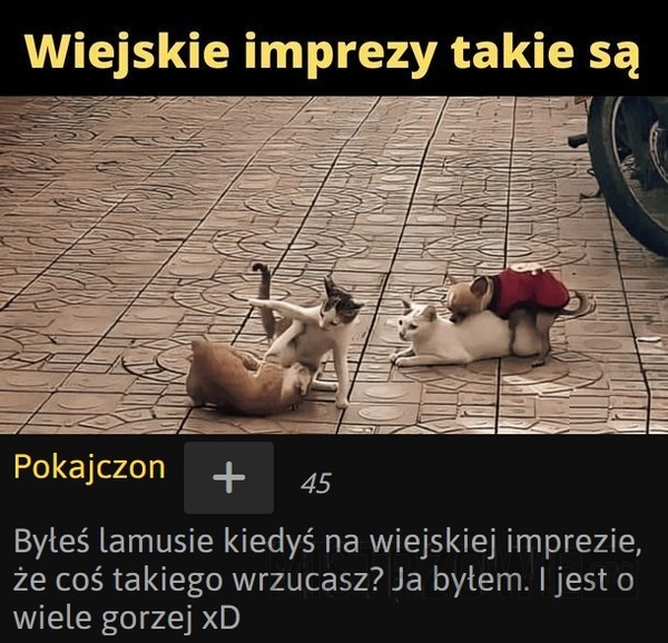 
    Wiejskie imprezy