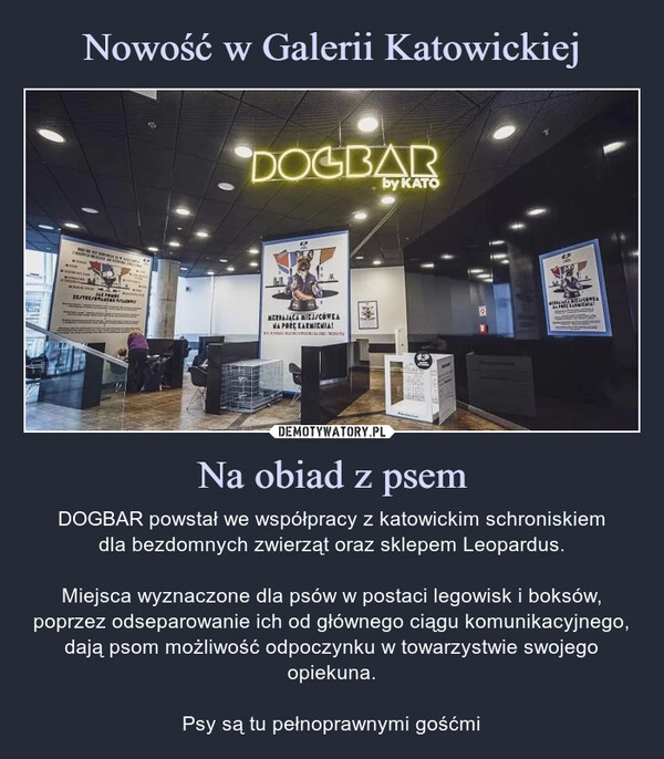 
    Nowość w Galerii Katowickiej Na obiad z psem 