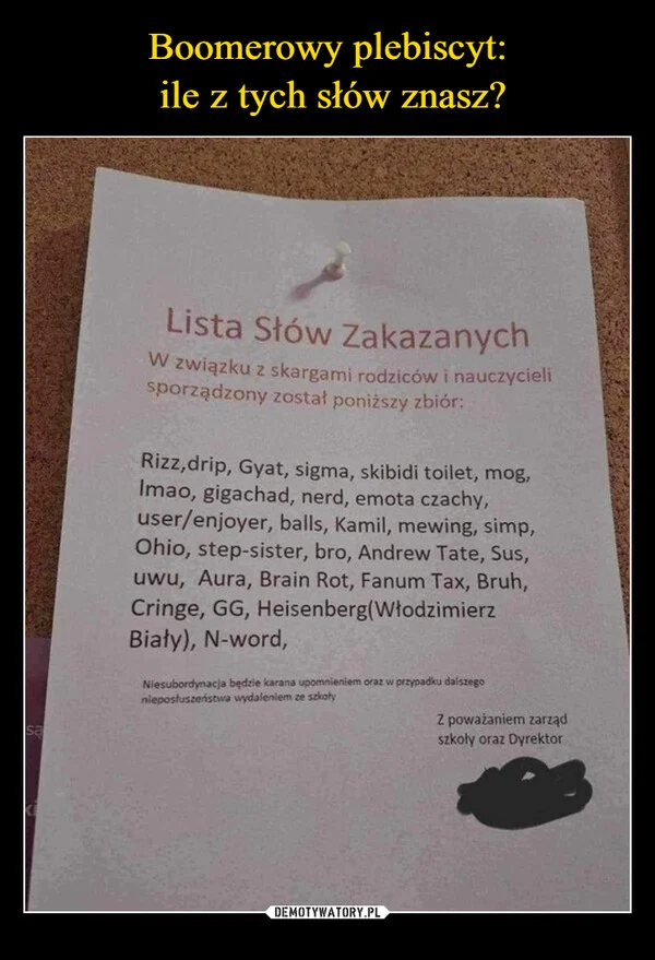Boomerowy plebiscyt: ile z tych słów znasz?