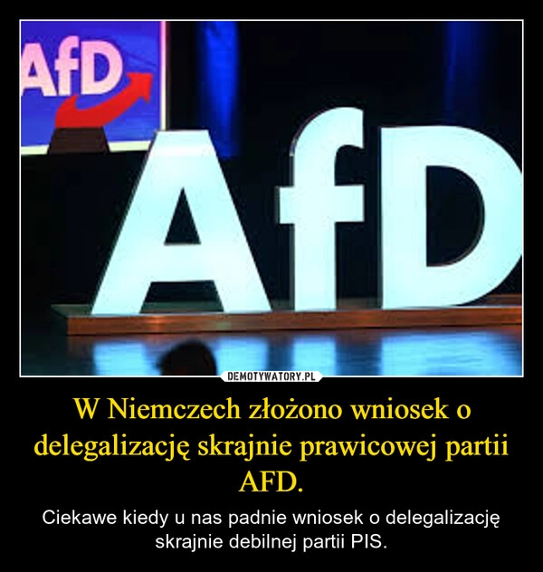 
    W Niemczech złożono wniosek o delegalizację skrajnie prawicowej partii AFD.