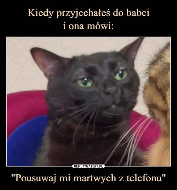 
    Kiedy przyjechałeś do babci i ona mówi: 
