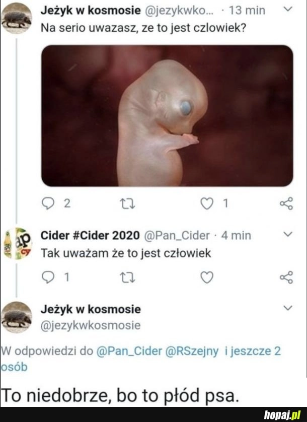 
    Ups...