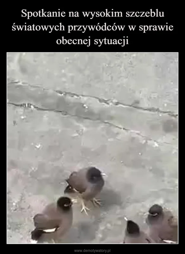 
    Spotkanie na wysokim szczeblu światowych przywódców w sprawie obecnej sytuacji