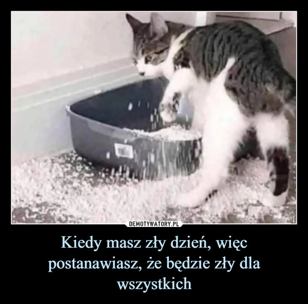 
    Kiedy masz zły dzień, więc postanawiasz, że będzie zły dla wszystkich