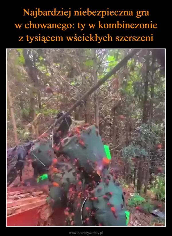 
    Najbardziej niebezpieczna gra w chowanego: ty w kombinezonie z tysiącem wściekłych szerszeni