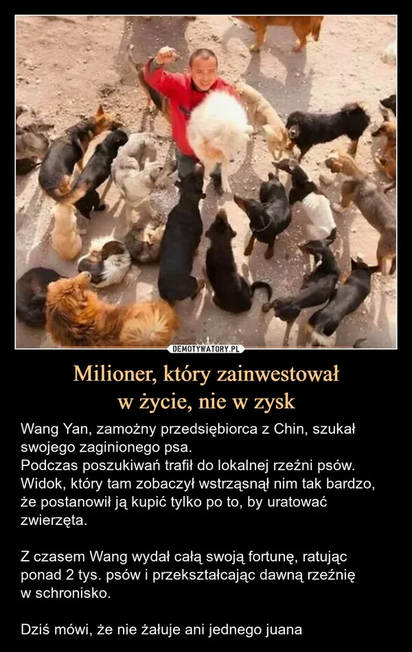 
    Milioner, który zainwestował w życie, nie w zysk