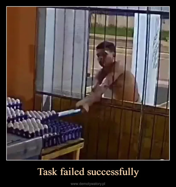 Task failed successfully