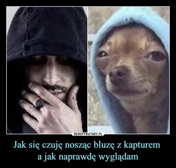 
    Jak się czuję nosząc bluzę z kapturem 
a jak naprawdę wyglądam