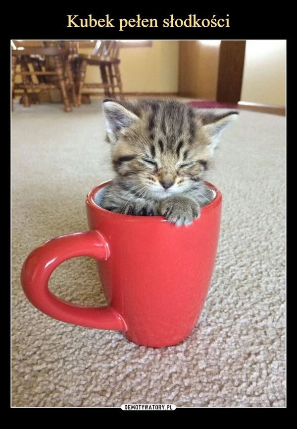 
    Kubek pełen słodkości