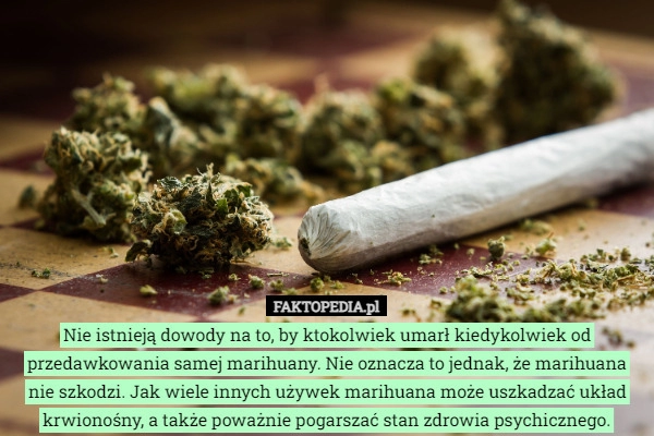 
    Nie istnieją dowody na to, by ktokolwiek umarł kiedykolwiek od przedawkowania