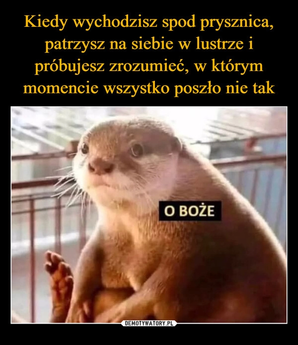 
    Kiedy wychodzisz spod prysznica, patrzysz na siebie w lustrze i próbujesz zrozumieć, w którym momencie wszystko poszło nie tak