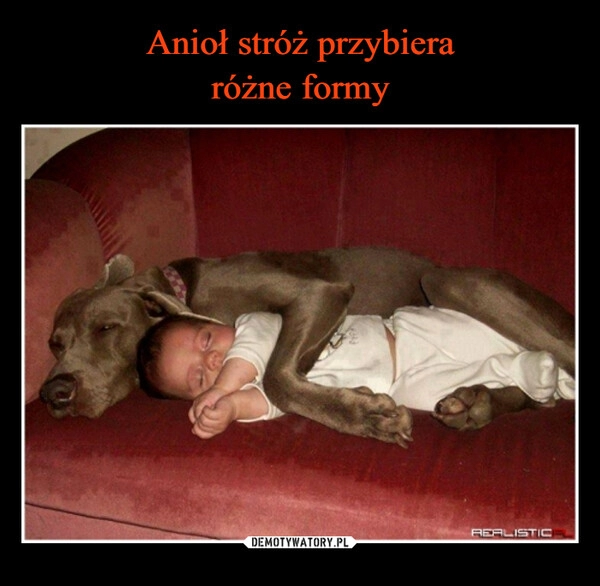 
    Anioł stróż przybiera
różne formy