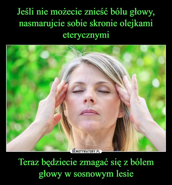 
    Jeśli nie możecie znieść bólu głowy, nasmarujcie sobie skronie olejkami eterycznymi Teraz będziecie zmagać się z bólem głowy w sosnowym lesie