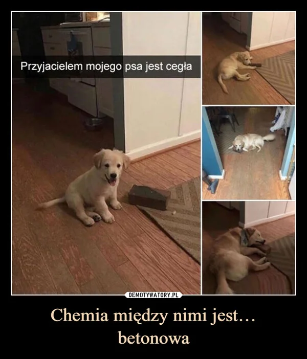 Chemia między nimi jest… betonowa