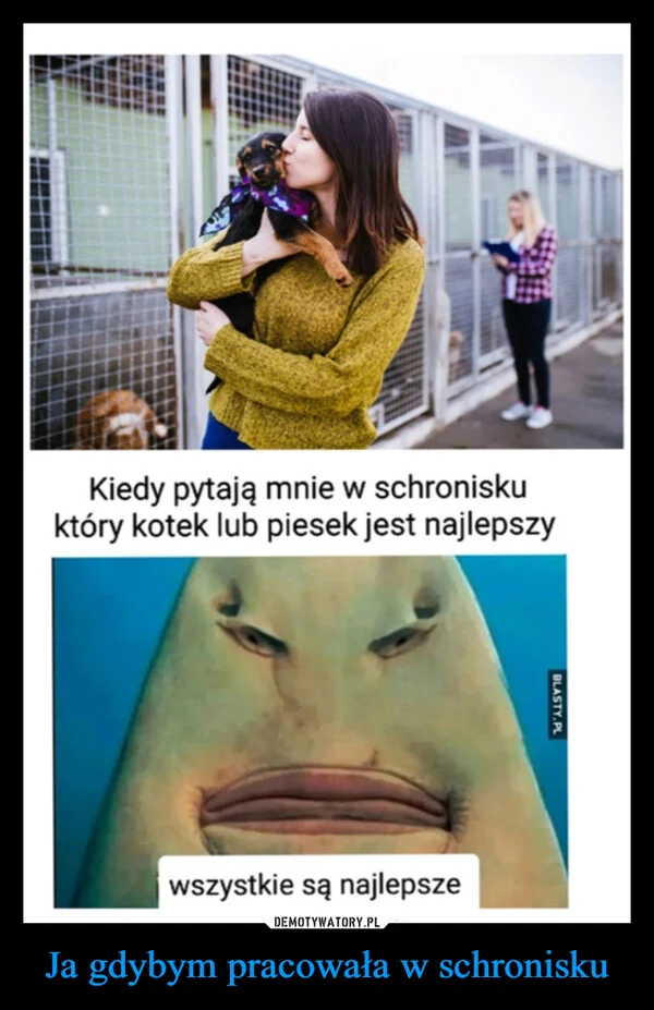 
    Ja gdybym pracowała w schronisku