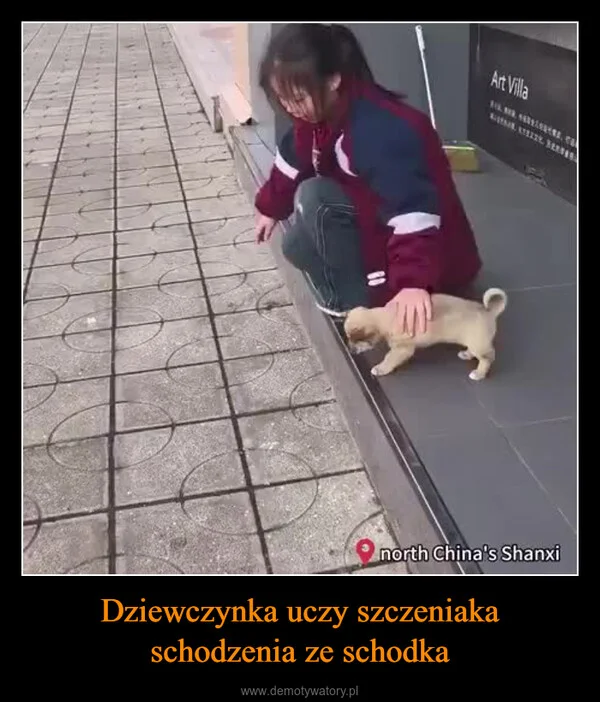 
    Dziewczynka uczy szczeniaka schodzenia ze schodka