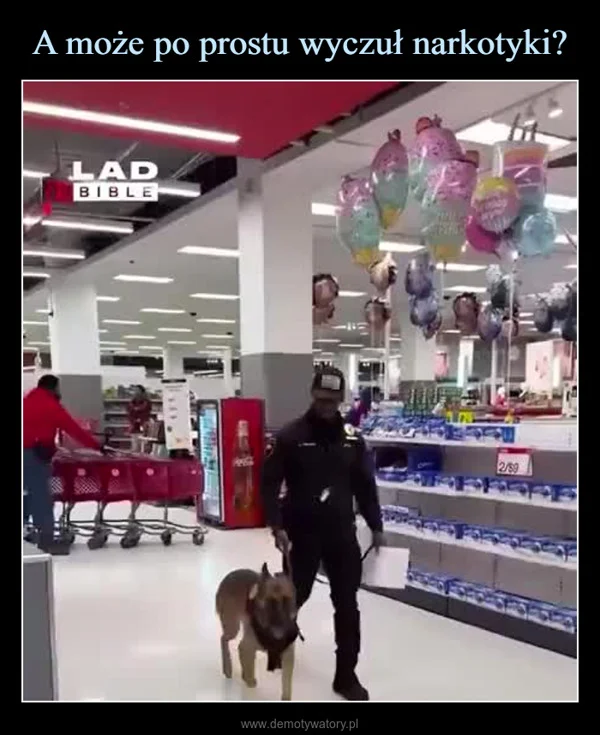 
    A może po prostu wyczuł narkotyki?