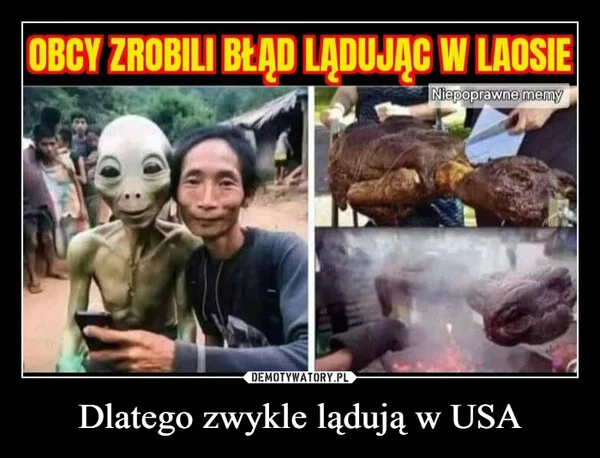 Dlatego zwykle lądują w USA