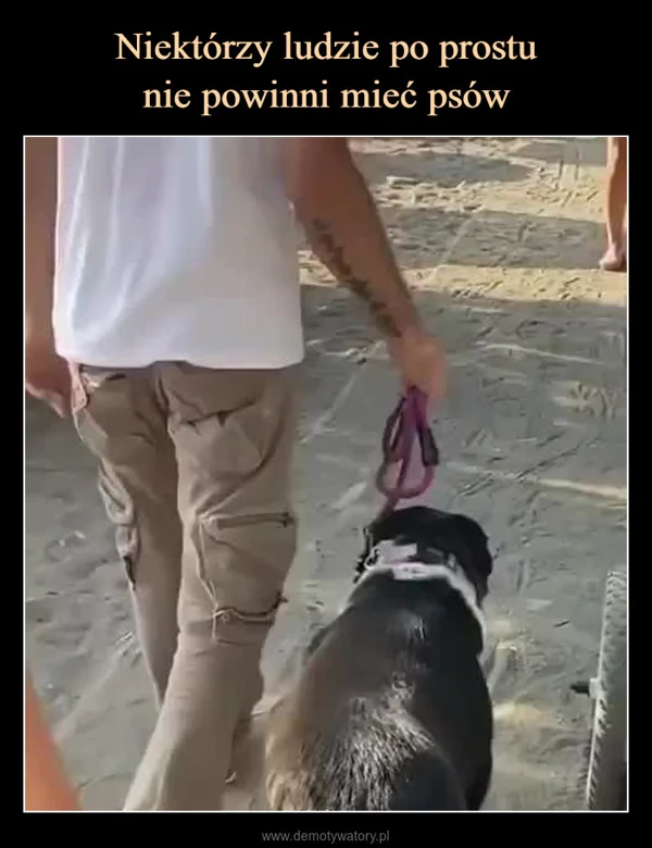 
    Niektórzy ludzie po prostu nie powinni mieć psów