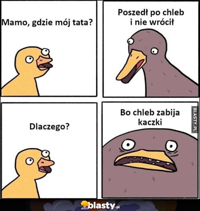 
    Mamo, gdzie mój tata? Poszedł po chleb i nie wrócił, dlaczego? Bo chleb zabija kaczki komiks