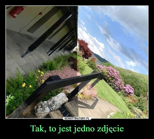 
    Tak, to jest jedno zdjęcie