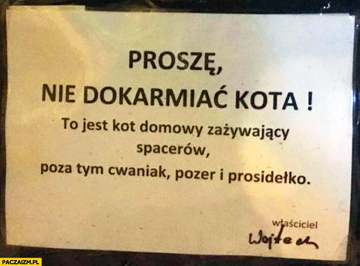 
    Proszę nie dokarmiać kota, to jest kot domowy zażywający spacerów, poza tym cwaniak pozer i prosidełko kartka ogłoszenie