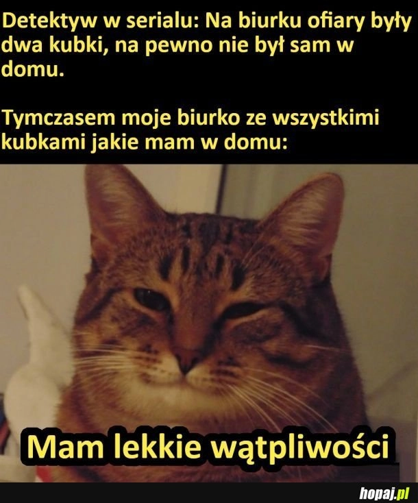 
    Detektyw