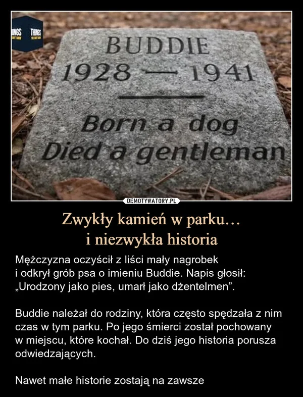 
    Zwykły kamień w parku… i niezwykła historia