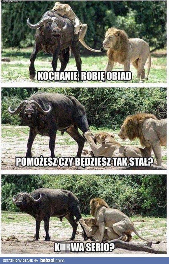
    Z życia wzięte