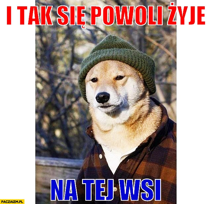 
    I tak się powoli żyje na tej wsi pieseł