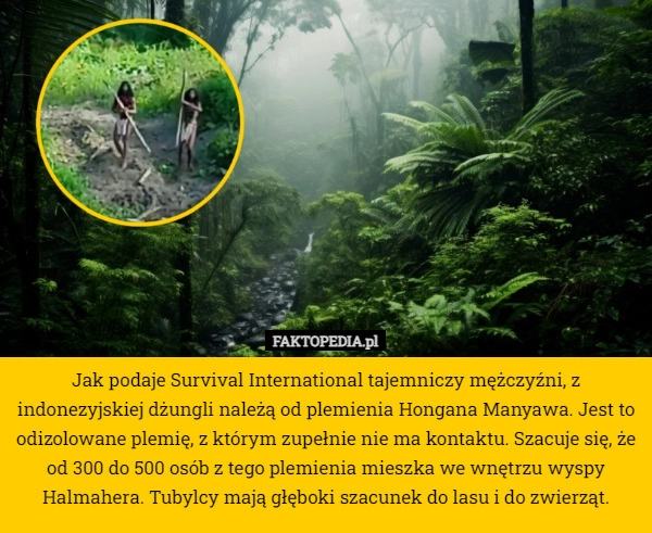 
    Jak podaje Survival International tajemniczy mężczyźni, z indonezyjskiej