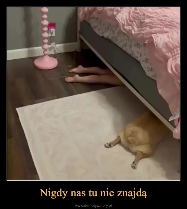
    Nigdy nas tu nie znajdą