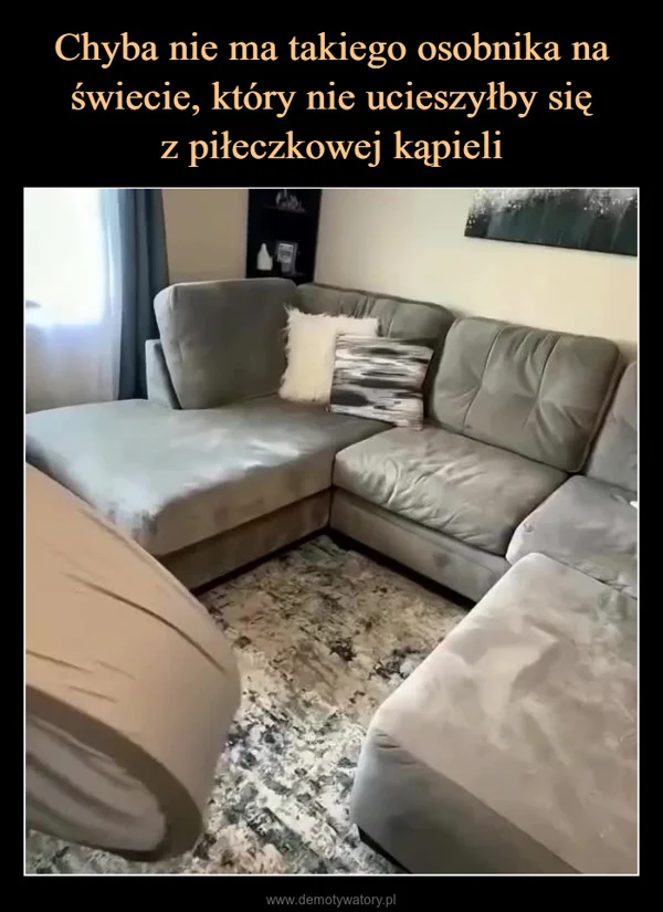 
    Chyba nie ma takiego osobnika na świecie, który nie ucieszyłby się z piłeczkowej kąpieli