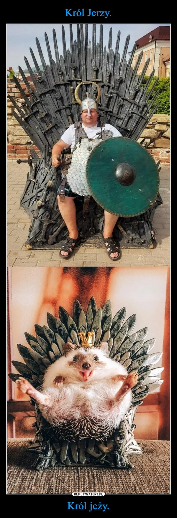 
    Król Jerzy. Król jeży.